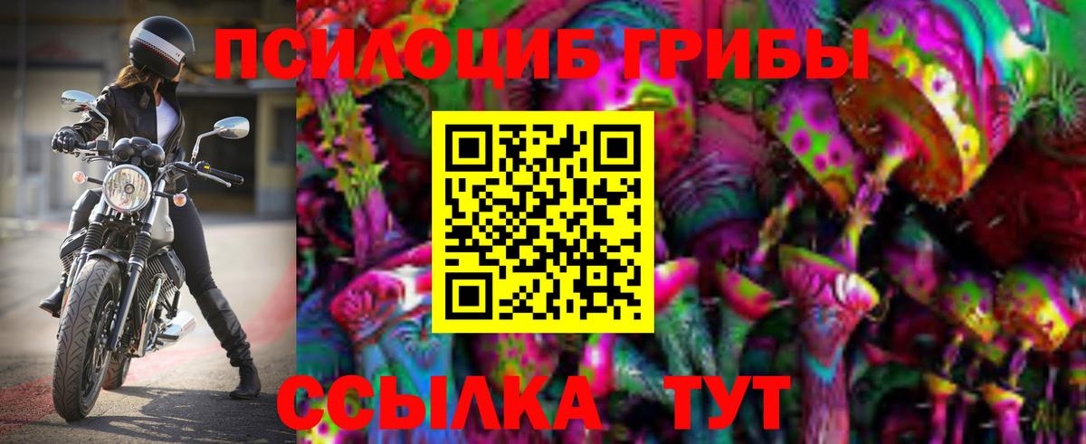 Псилоцибиновые грибы прущие грибы Волхов