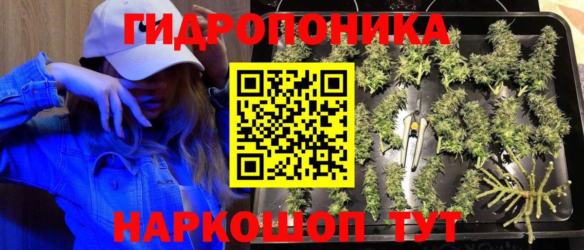 Каннабис Bruce Banner  Шишки марихуана сатива  Волхов  Вход с VPN 